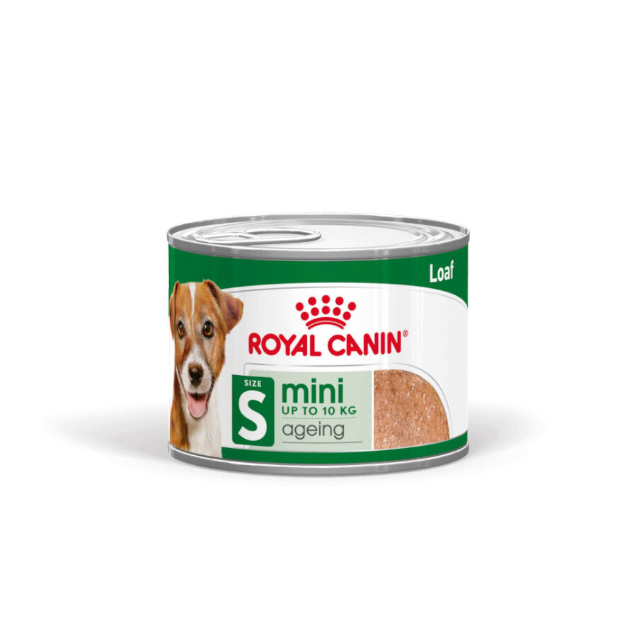 Royal Canin Mini 8+ Ageing lata para cães
